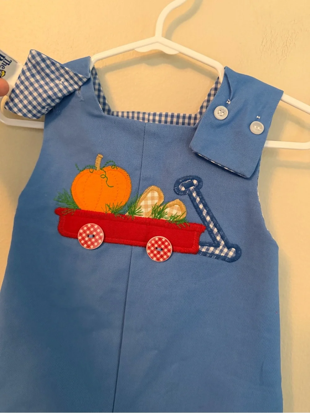 The Bailey Boys Blue Gingham Train Reversible with Fall Pumpkins Jon Jon
